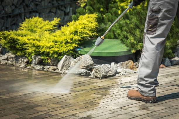 Best Sidewalk and Walkway Cleaning  in West Carthage, NY